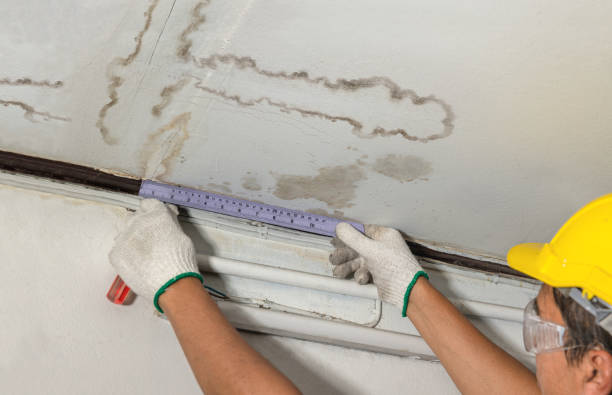 Reliable Water Damage contractor in Randolph, NH by Water Damage Irwin